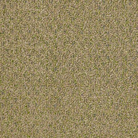Hudson Bay II Sprout Carpet Sample