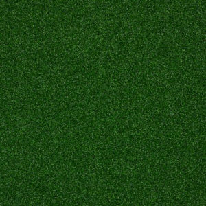 Bay Pines II New Leaf Carpet Sample