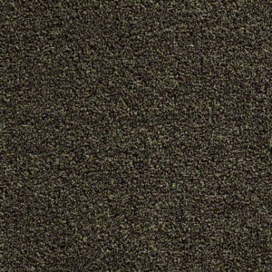 Tuff Turf II  Mulch Carpet Sample