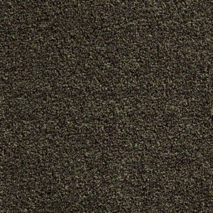 Tuff Turf II  Mulch Carpet Sample
