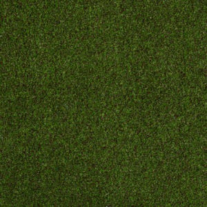 Tuff Turf II Trail Mix Carpet Sample