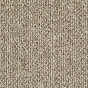 Court Colony II Buckeye Carpet Sample