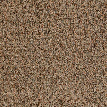 Hudson Bay II Desert Sun Carpet Sample