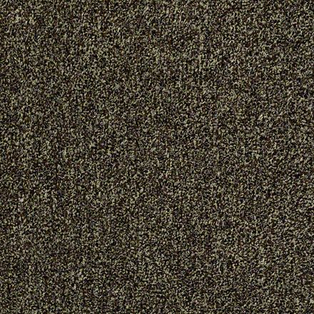 Summer Break II S &T Marbled Fudge Carpet Sample