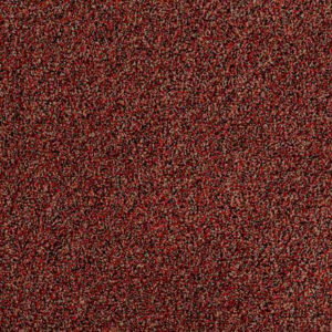 Tuff Turf II  Salsa Carpet Sample