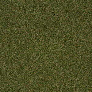 Bay Pines II Garden Trellis Carpet Sample