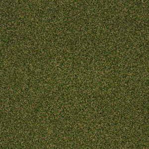 Bay Pines II Garden Trellis Carpet Sample