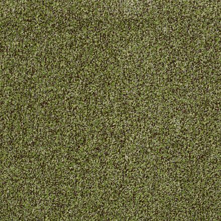 Summer Break II S &T Mineral Spring Carpet Sample