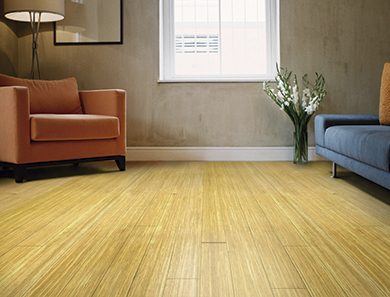 Bamboo Flooring