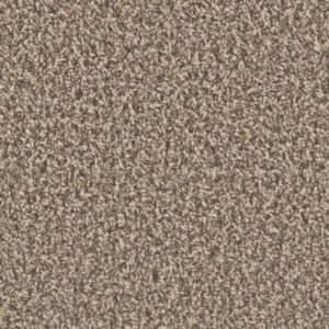 Bounty 24 oz 762 Carpet Sample