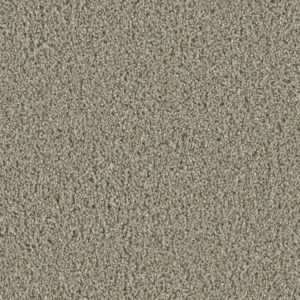 Chateau 55 oz Ash Carpet Sample
