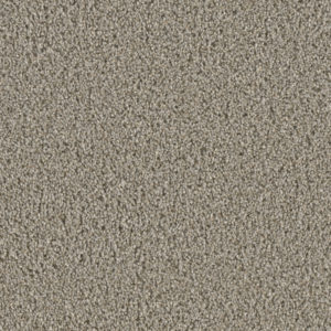 Chateau 55 oz Ash Carpet Sample