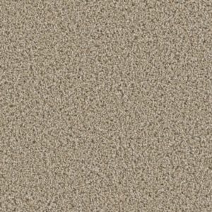 Chateau 55 oz Ginger Carpet Sample