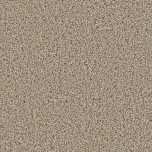 Chateau 55 oz Ginger Carpet Sample