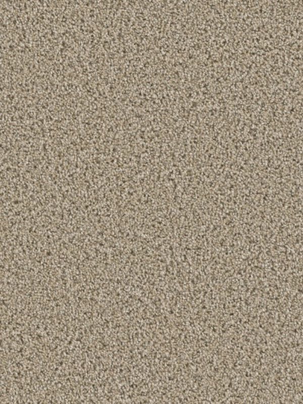 Chateau 55 oz Ginger Carpet Sample