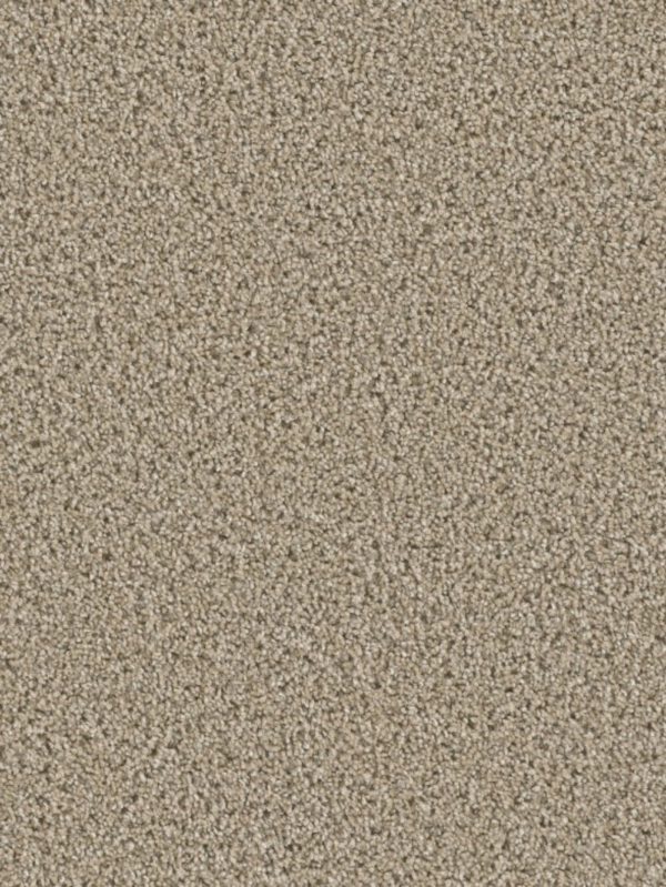 Chateau 55 oz Ginger Carpet Sample