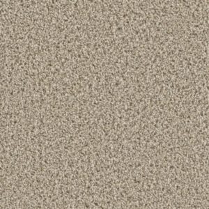 Chateau 55 oz Oxford Carpet Sample