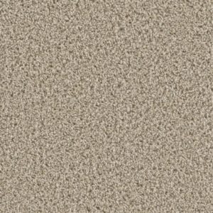 Chateau 55 oz Oxford Carpet Sample