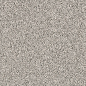 Chateau 55 oz Shadows Carpet Sample