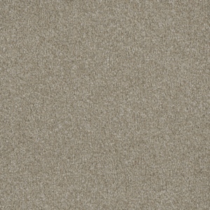 Majestic 50 oz MAJE298 Carpet Sample