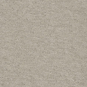 Seascapes 35 oz SEA2849 Carpet Sample