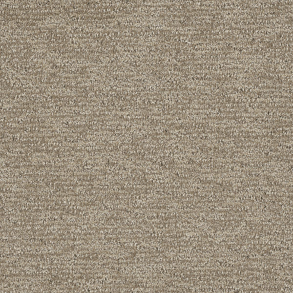 Seascapes 35 oz SEA2946 Carpet Sample