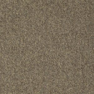 Specifier Trainee Carpet Sample
