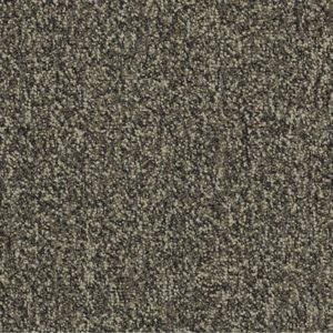 Specifier Code Carpet Sample