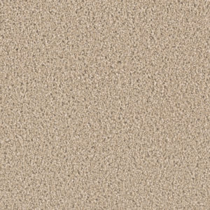 Splendor 40 oz 3580 Carpet Sample