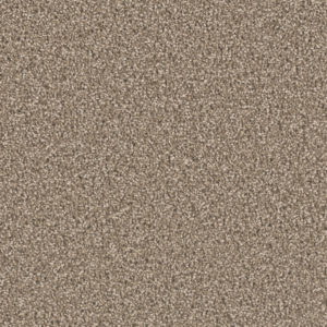 Splendor 40 oz 3587 Carpet Sample