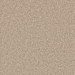 Splendor 40 oz 3768 Carpet Sample