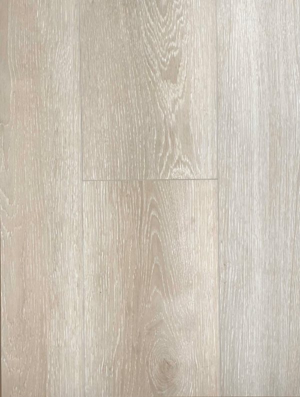 Medallion Aquarius Evolution Taurus Tan Swatch